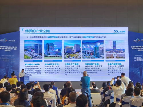 东莞市软件和信息化技术服务集聚区揭牌 松山湖以软实力赋能智造与家禽销售技术服务