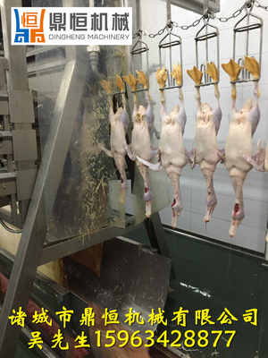 鸡屠宰设备与家禽脱毛机械的技术服务 提升家禽销售竞争力的关键
