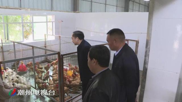 潮州市区下水门街饼食店违规销售被查处 家禽技术服务市场亟待规范