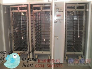 专业鸡鸭鹅孵化机与珍禽孵化设备供应商——德州市德城区恒源孵化设备厂